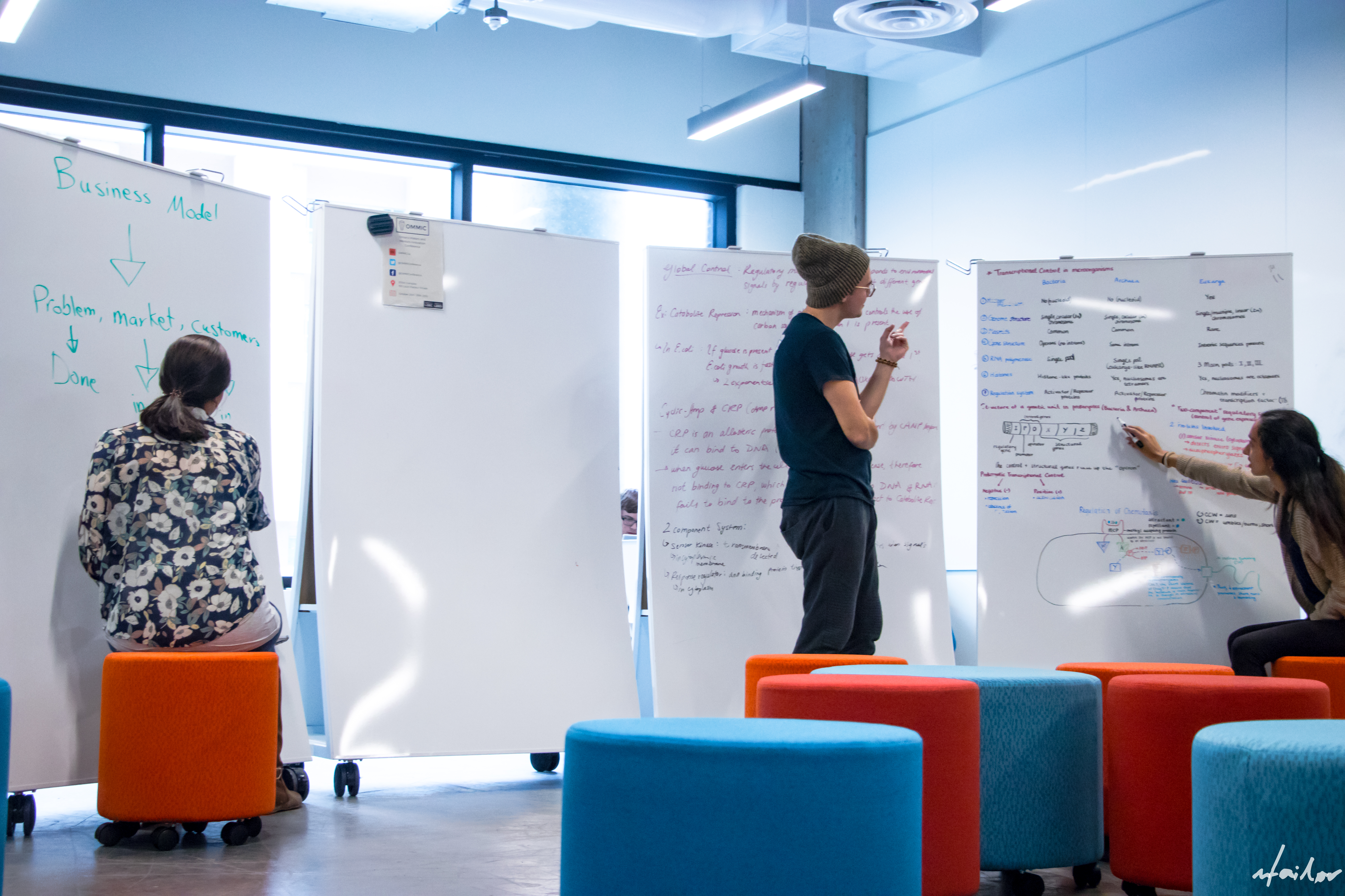 Students in a room full of white boards